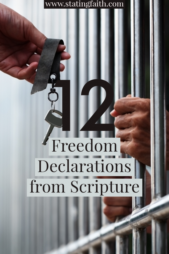 12 freedom declarations