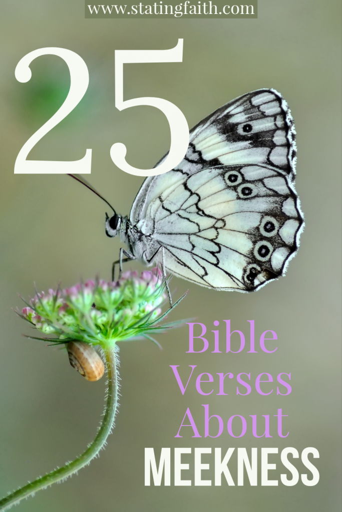 25 Bible Verses About Meekness